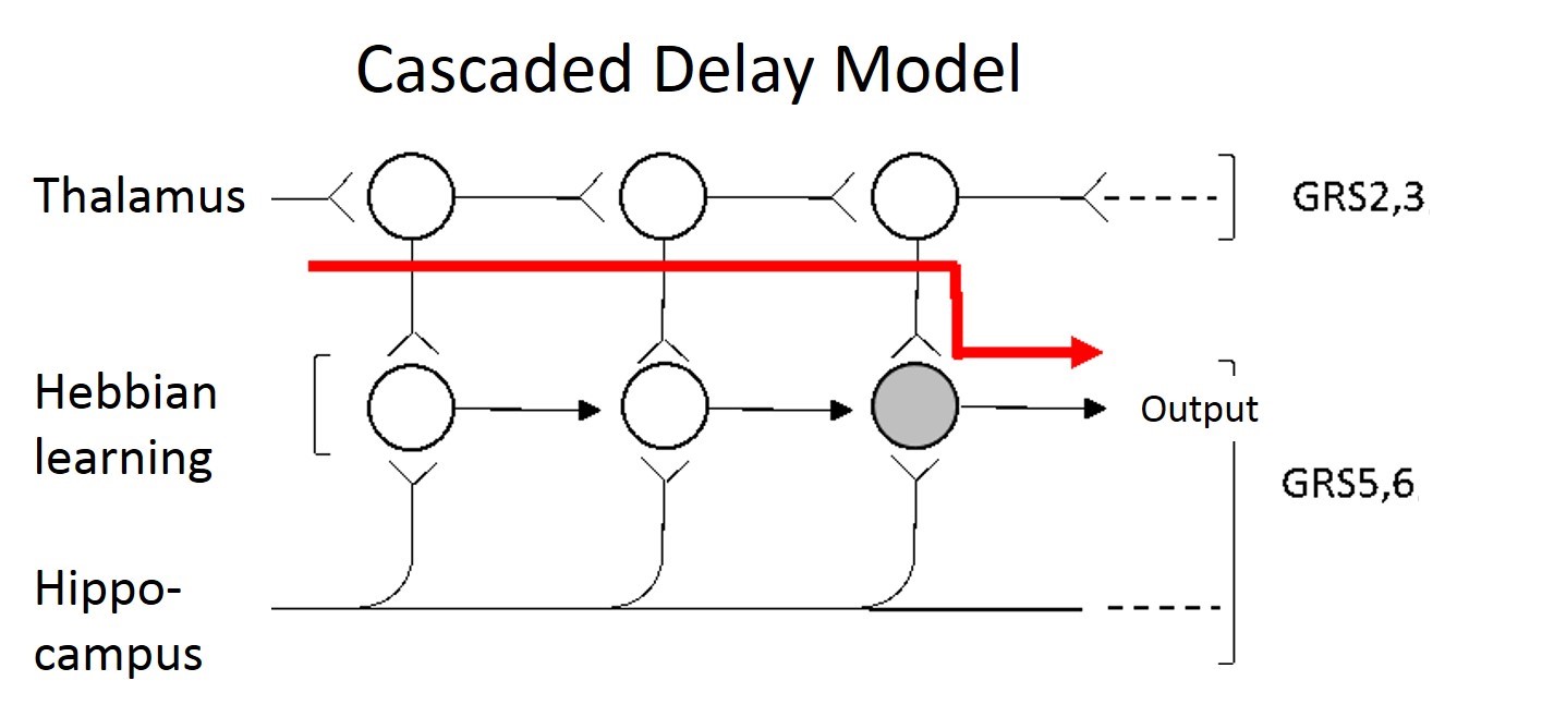Perception and production of a time interval longer than 10 seconds: Experimental study of the cascaded delay model of the posterior cingulate retrosplenial cortex